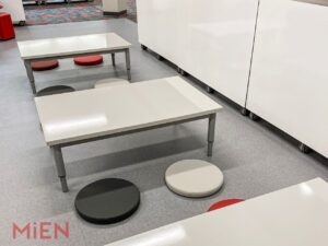 Elementary Library Learning Environment