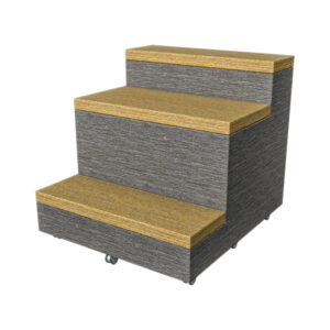 FLEX Steps with Casters