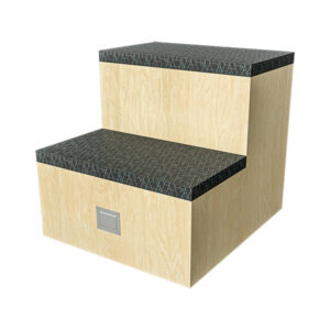 FLEX Steps EVO with Power