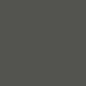 Charcoal Charcoal Color Swatch