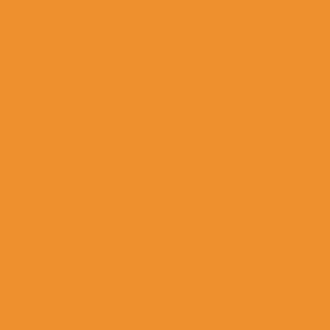 Mango Mango Color Swatch