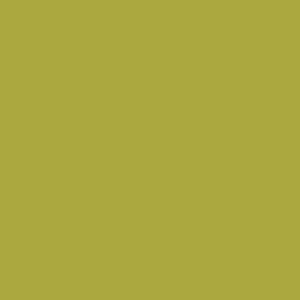 Olive Olive Color Swatch
