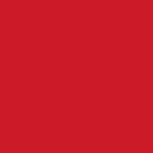 Red Red Color Swatch