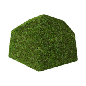Grow Nest Dome Large